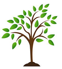 tree